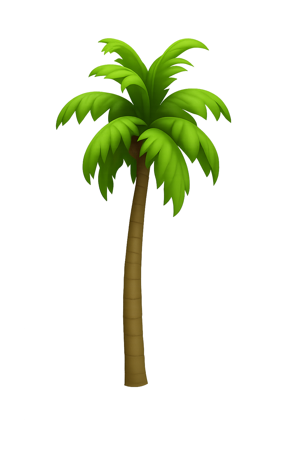 Palm Tree